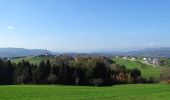 Percorso A piedi Sankt Oswald bei Plankenwarth - Wanderweg 34 - Photo 6