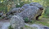 Randonnée Marche Fontainebleau - Fontainebleau sentier Denecourt 6 Est 6-6 - Photo 4