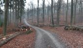 Percorso Marcia Baelen - menbach 15 km - Photo 11