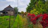 Trail Walking Montigny-le-Tilleul - La promenade des sentiers de Montigny-le-Tilleul  - Photo 14