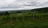 Excursión Senderismo Plombières - 20200630 - Henri-Chapelle 7 Km - Photo 2