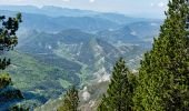 Trail Walking Saint-Agnan-en-Vercors - Plateau de Beure - Tête du Faisan - Photo 20
