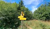 Trail Walking Aiguebelette-le-Lac - Mont Grêle  - Photo 5