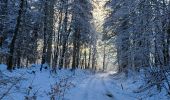 Randonnée Marche Tenneville - Laneuville aux bois 180124 - Photo 1