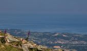 Tour Wandern Sare - La Rhune an A/R depuis le col de St Ignace - Photo 1