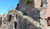 Tocht Stappen Lembach - Lembach Les 4 Châteaux - Photo 4