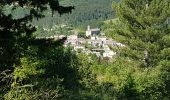 Tour Wandern La Motte-Chalancon - LA MOTTE CHALANCON - LE PLATEAU DE LA CHAU - Photo 19