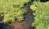 Tour Wandern Nasbinals - Nasbinals Montorzier Aubrac GR65 - Photo 1