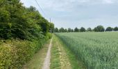 Tour Wandern Merchtem - Brussegem nord 7,3 km - Photo 4