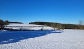 Tocht Stappen La Roche-en-Ardenne - rando samrée 13-01-2025 - Photo 18