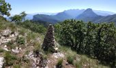 Excursión Senderismo Saou - Roche-Colombe (Saoû) - Photo 4