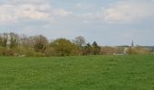 Excursión Bici de montaña Walcourt - Balade dans l'entité de Walcourt  - Photo 3