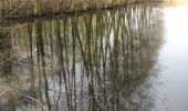 Tour Zu Fuß Am Mellensee - Saalower Mühlenweg - Photo 6