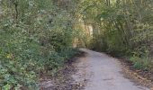 Trail Walking Jablines - jablines secret - Photo 3