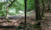 Tocht Te voet Baelen - Croix Noire - Tour du vallon de l'Escherbach - Photo 8