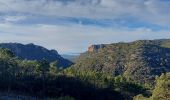 Tocht Stappen Saint-Raphaël - Rando des Etangs - Photo 10