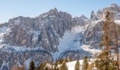 Tour Zu Fuß Wolkenstein - (SI C22N) Forcella Puez - Rifugio Kostner - Photo 2