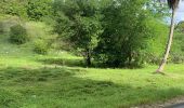 Trail Trail Sainte-Anne - La boucle  - Photo 2