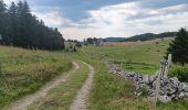 Randonnée Marche Lajoux - Le crêt de la vigoureuse (le vrai) - Photo 3