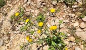 Trail Walking la Vall de Laguar - Benimaurell 250525 - Photo 11