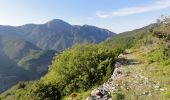 Trail On foot Utelle - Gorges de la Vésubie - Photo 3