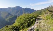 Randonnée A pied Utelle - Gorges de la Vésubie - Photo 3