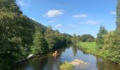 Tocht Stappen Domjean - Rando gorge de la Vire  - Photo 8