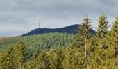 Trail Walking Schirmeck - Schirmeck - sentier du Colbéry - Photo 2