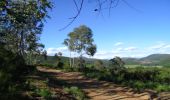 Randonnée Marche Cessenon-sur-Orb -  BOIS DES EUCALYPTUS - Photo 1