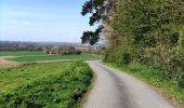 Trail Walking Frasnes-lez-Anvaing - Le sentier enchanté   - Photo 3