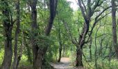 Tour Wandern Sant'Eufemia a Maiella - Dan Giacomo - Roccomarino - Photo 6