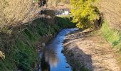 Tocht Stappen Sainte-Maxime - Sainte maxime - le couloubrier - Photo 19