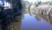 Tour Wandern Lokeren - Anders Reizen 2021 Eksaarde - Moervaart wandeling - Photo 6