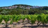 Randonnée Marche Bandol - Tour du golf de la frégate (Version Courte) - Photo 8