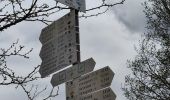 Percorso A piedi Baiersbronn - Seibelseckle - Schönmünzach - Photo 9