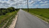 Tour Nordic Walking Soulac-sur-Mer - Gr81 de Soulac à St Vivien - Photo 18
