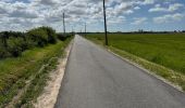 Tocht Noords wandelen Soulac-sur-Mer - Gr81 de Soulac à St Vivien - Photo 18