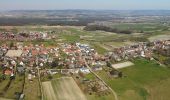 Tour Zu Fuß Kalchreuther Forst - Rundweg um Kalchreuth - Photo 6