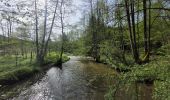 Tour Wandern Gedinne - rando vencimonr 01/05/2024 - Photo 13