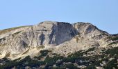 Tour Zu Fuß Roßleithen - Naturspuren-Wanderweg - Photo 4