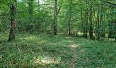 Trail Walking Marray - Marray - Les versants de la Dême - Photo 4