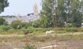 Tour Wandern Batz-sur-Mer - batz sur mer - Photo 5