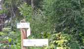 Trail Walking Labergement-Sainte-Marie - Lac de Remoray - Photo 8