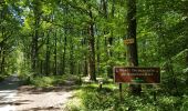 Tocht Stappen Méré - Méré Montfort l'Amaury-St. Léger en Yvelines  - Photo 8