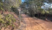 Tocht Stappen Castelnau-de-Guers - L’étendoir aux fées  - Photo 12