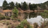 Excursión A pie Roquebrune-sur-Argens - Lac des Clos-Roquebrune/Argens-01-03-23 - Photo 6