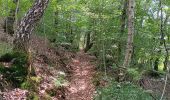 Trail Walking Theux - autour du Maquisart - Photo 16