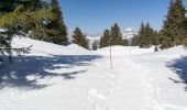 Tocht Sneeuwschoenen Villard-sur-Doron - De Bisanne 1500 à Mont Bisanne - Photo 1