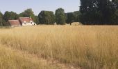 Trail Walking Montrésor - montresor - Photo 10