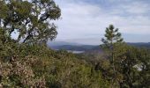 Trail Walking Montauroux - St cassien / friaoud - Photo 3